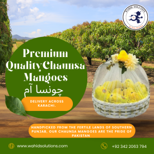 Chaunsa Mango Gift Basket – چونسا آم