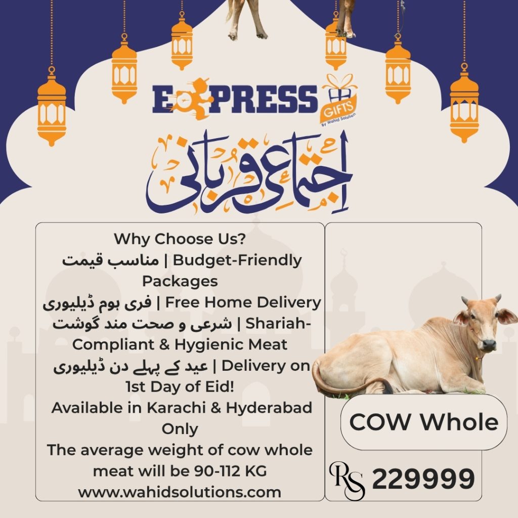 Whole Cow (Male "bachra" (بچھرا)) – Ultimate Premium Qurbani