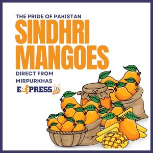 .Sindhri Mangoes